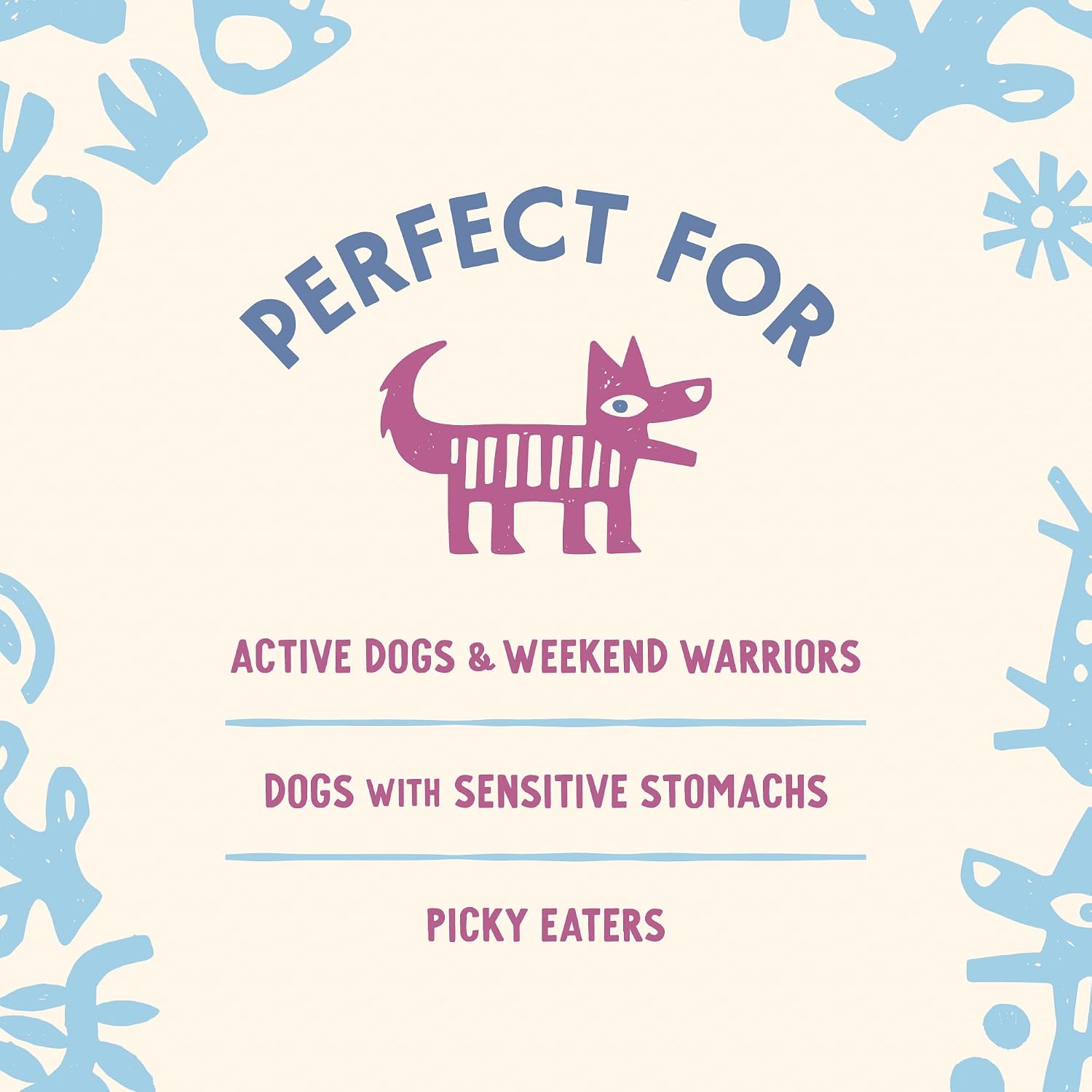 Super Chomp Tablets – Probióticos para Perros con Multiglandular, 60 Comprimidos