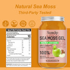 SumDIP Gel de Musgo Marino (28 oz) - Vegano, Irlandés, Apoyo Inmunológico y Digestivo, Sabor Manzana Canela