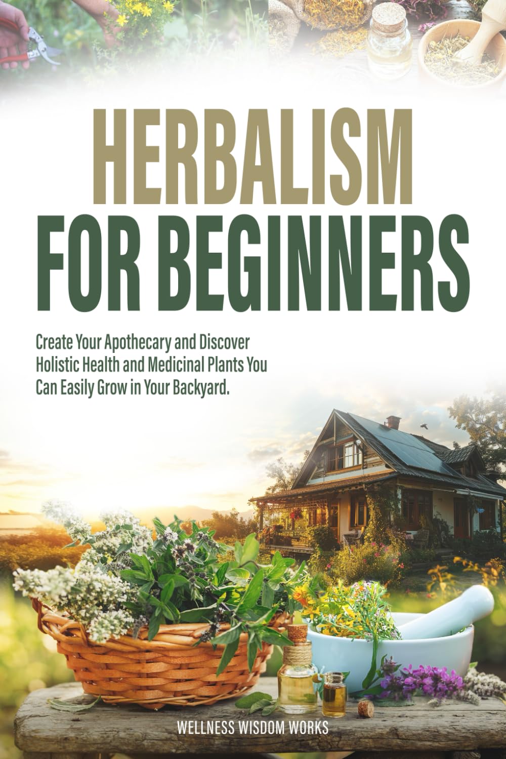 Herbalism for Beginners: Create Your Apothecary and Discover Holistic Health and Medicinal Plants You Can Easily Grow in Your Backyard