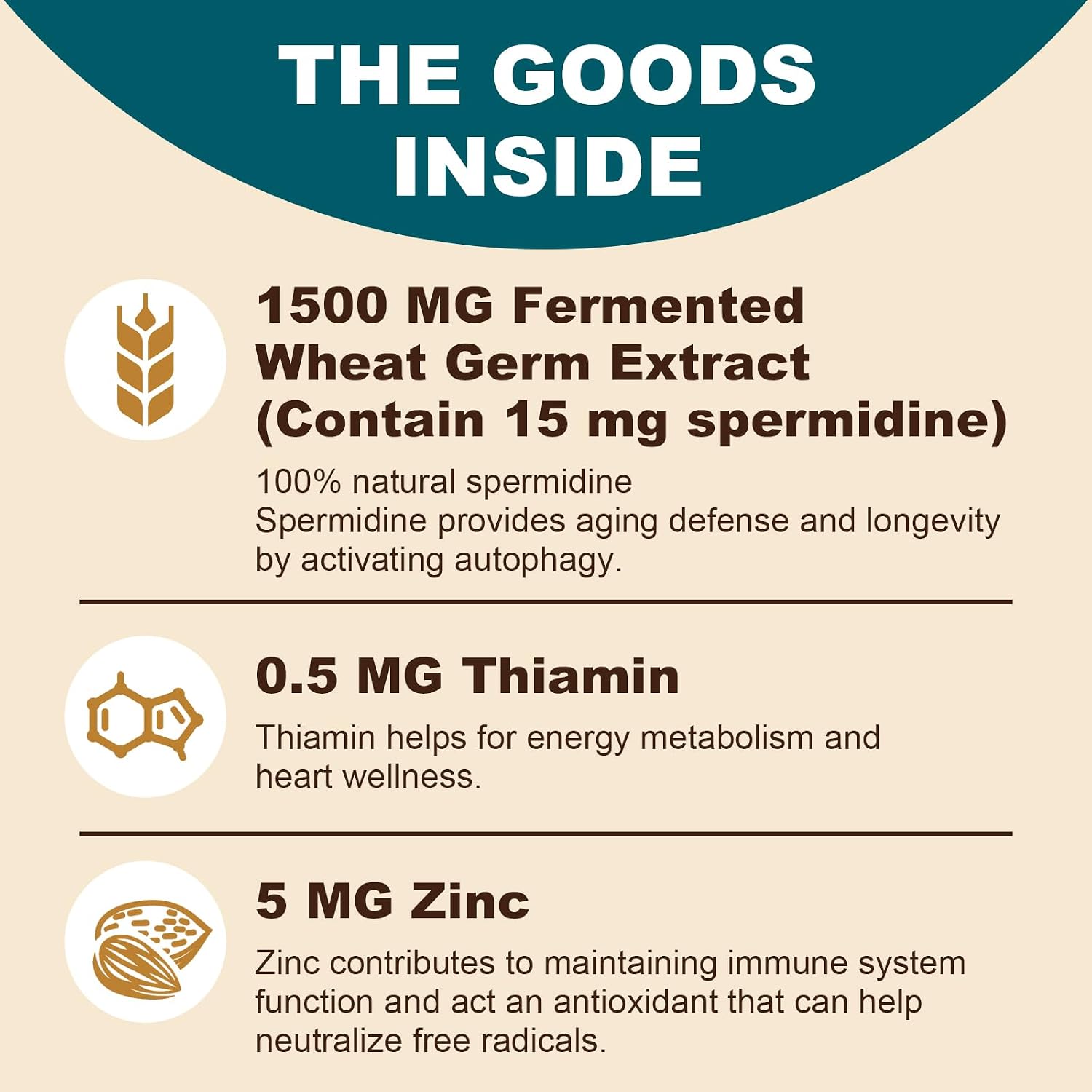 Spermidina 15 mg – 99% Pureza, Alta Absorción – 1500 mg Extracto de Germen de Trigo Fermentado con Zinc y Tiamina – 60 Softgels