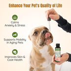 Lifeline Aceite Premium Omega 3 de Pescado y Cáñamo para Perros y Gatos | Apoyo para Piel, Pelaje y Articulaciones | Suplemento Calmante con Astaxantina – 8.5 oz