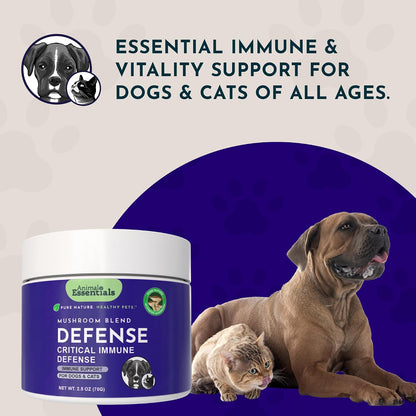Animal Essentials MUSHROOM DEFENSE - Suplemento de setas para perros y gatos, extracto en polvo, 70g – Image 8