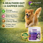Freydell Pets Probióticos para Perros – Enzimas Digestivas, Prebióticos y Fibra – Salud Intestinal – 120 Chews