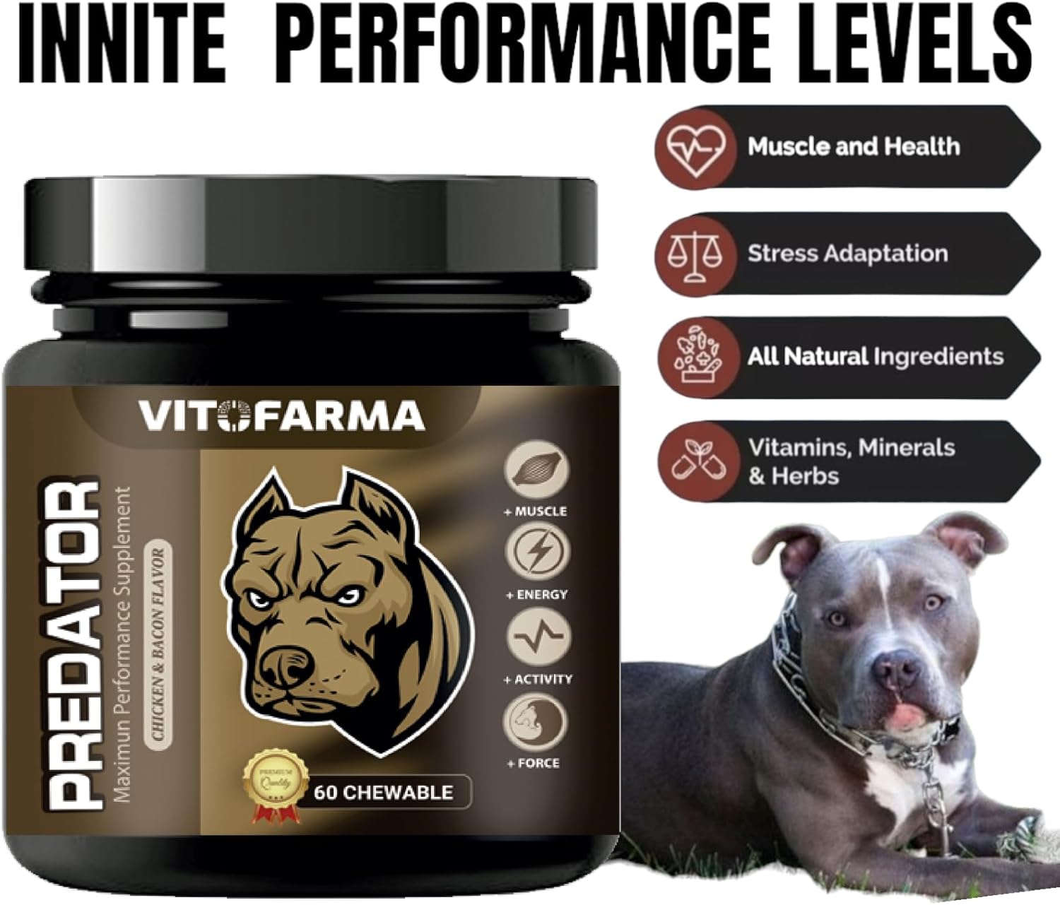Predator Muscle Builder para Perros – Suplemento Canino para Masa Muscular – 60 comprimidos
