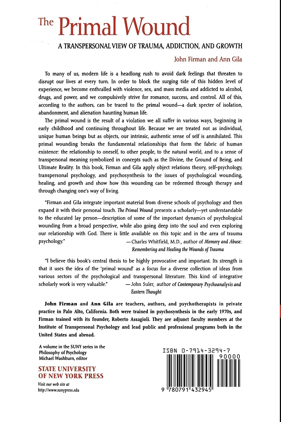 The Primal Wound: A Transpersonal View of Trauma, Addiction, and Growth (Philosophy of Psychology (Dis))