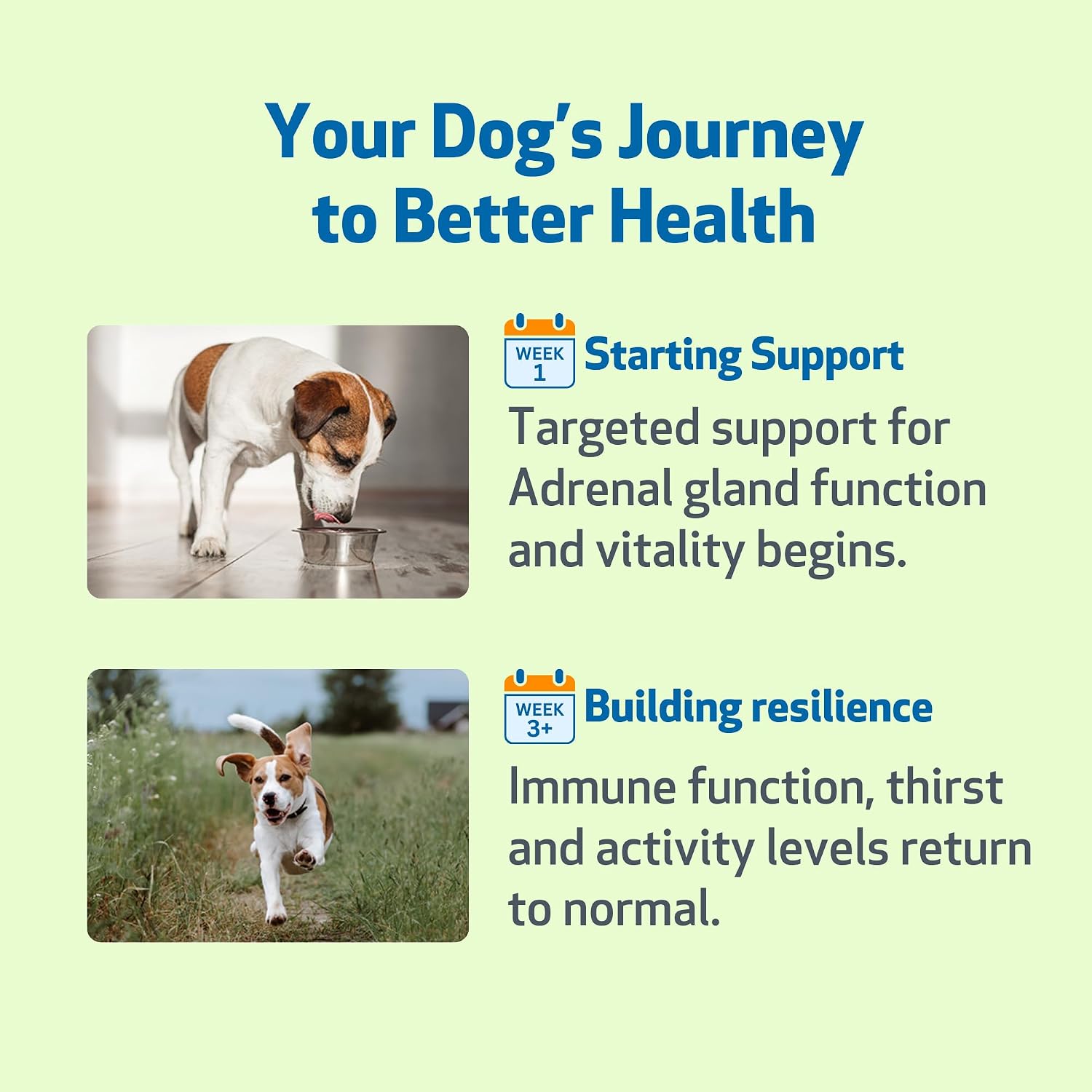Adrenal Harmony Gold for Dogs - Adrenal Support - Liquid Formula 60ml