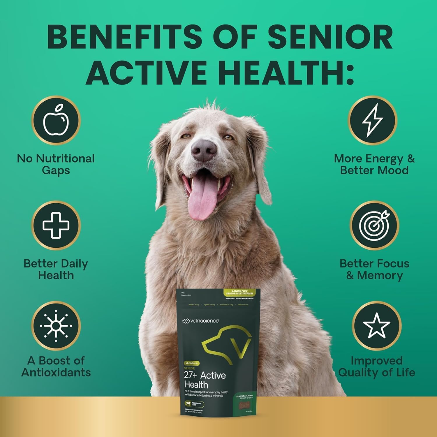 VetriScience Senior 27+ Active Health Chews - Multivitamínico para Perros Mayores - 60 Comprimidos Masticables Sabor Vegetal