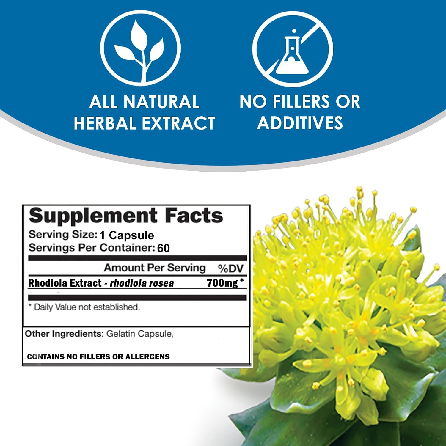 Rhodiola Rosea 3% Salidrósidos - 60 Cápsulas