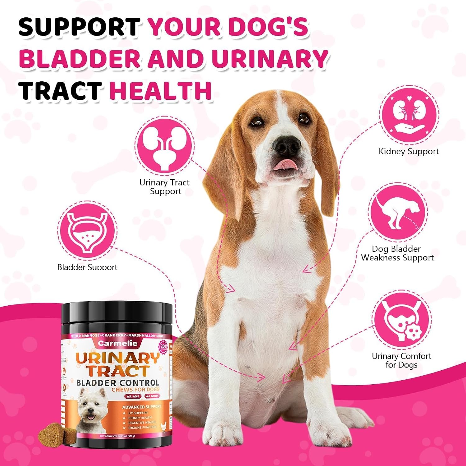 Suplemento de Arándano para Perros - Apoyo Urinario y Renal - 200 Chews Sabor Pollo