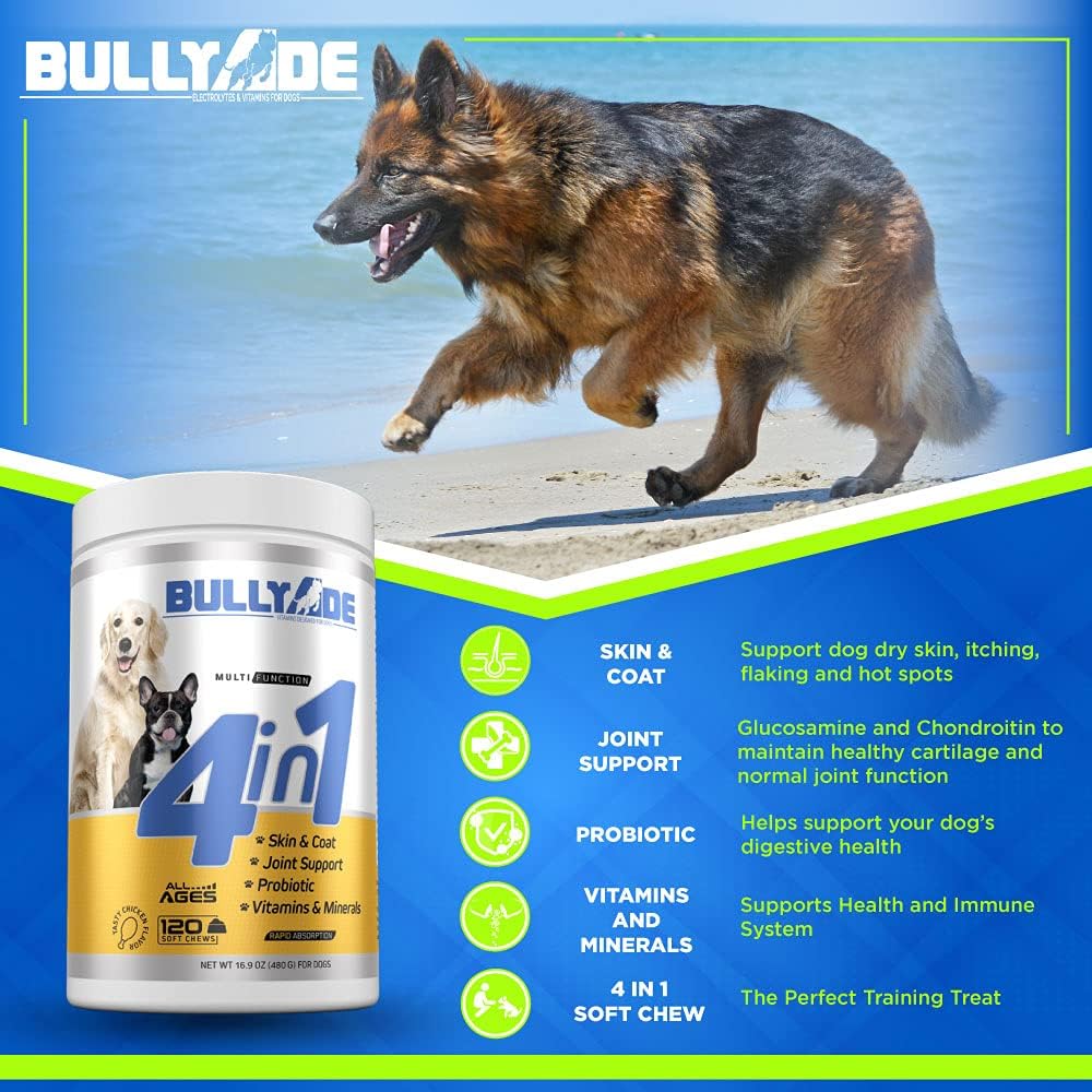 Bullyade 4 en 1 - Probiótico, Articulaciones, Piel y Pelaje, Multivitamínico Masticables Suaves para Perros, 480 g