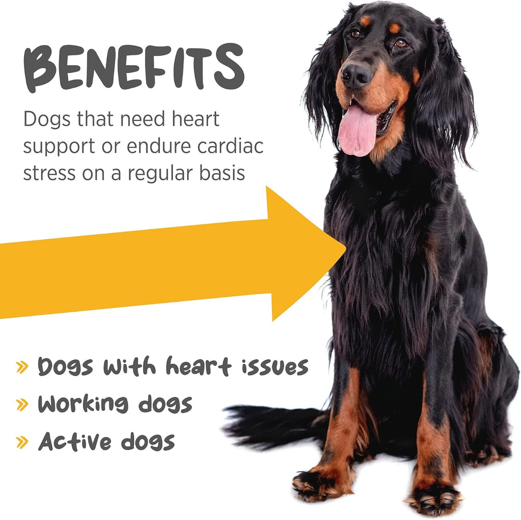 maxxicardio Heart Support para Perros Pequeños – Taurina, L-Carnitina, Espino, Ginkgo – Polvo 3.2 oz