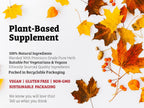 DR WAKDE'S Amla Capsules (Amalaki, Indian Gooseberry, Emblica officinalis) - 60 Veg. Caps. - Natural Vegan Supplement