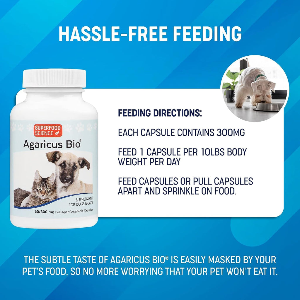 Agaricus Bio 300mg para Perros y Gatos - Suplemento de Hongos Beta Glucano - 60 Cápsulas