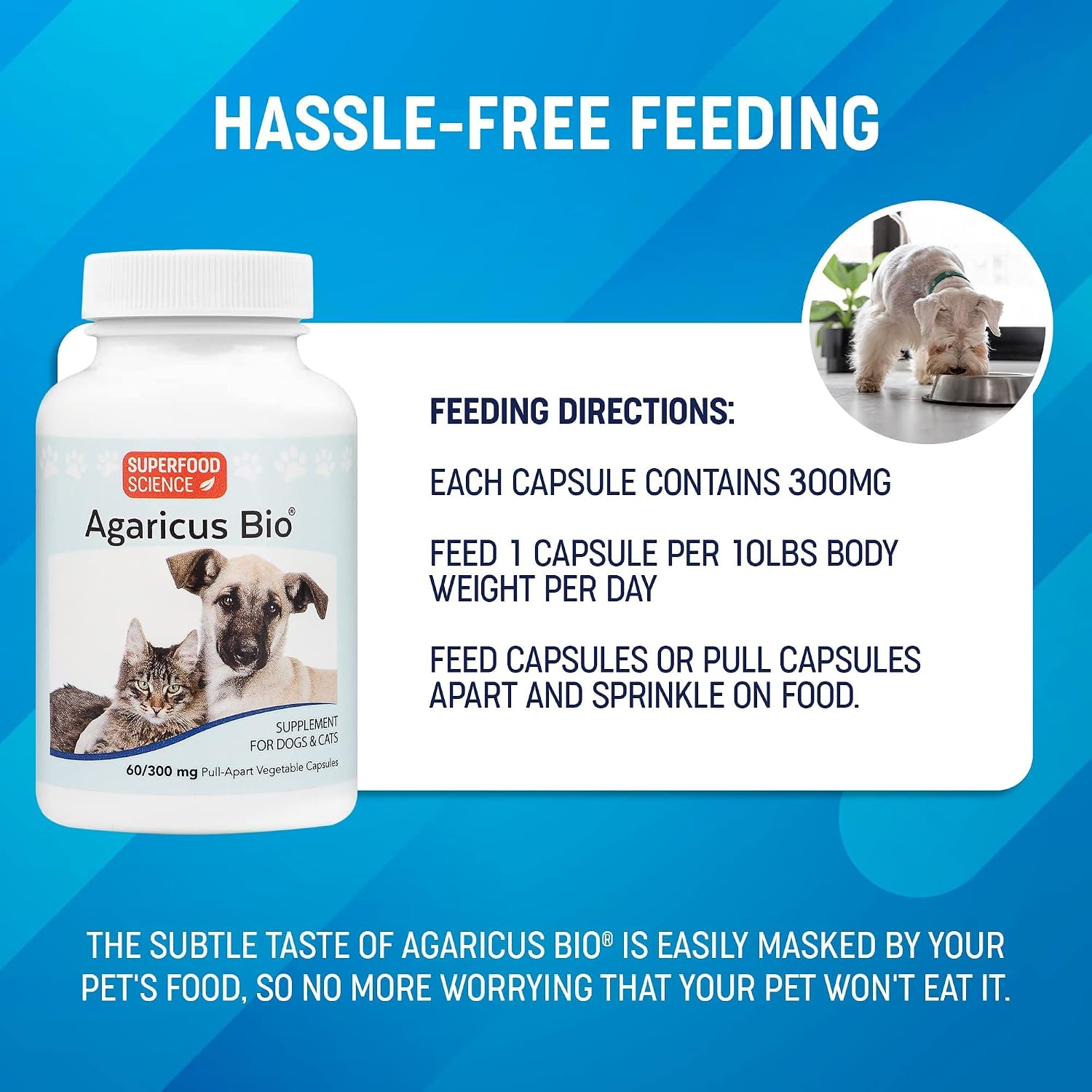 Agaricus Bio 300mg para Perros y Gatos - Suplemento de Hongos Beta Glucano - 60 Cápsulas