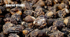 Antler Farms - Maca Negra Pura 100% - 130 Cápsulas de 1500mg