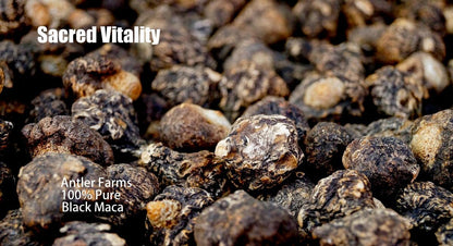 Antler Farms - Maca Negra Pura 100% - 130 – Equilibrio hormonal: La maca es conocida por su capacidad para apoyar – Image 2
