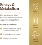 Solgar Vitamina B2 (Riboflavina) 100 mg, 100 Cápsulas