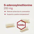 PROTOCOL FOR LIFE BALANCE SAM-e 200mg - 60 Cápsulas Veganas