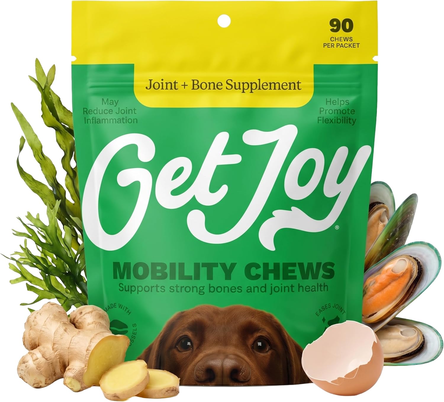 Get Joy Digestion Chews - Suplemento digestivo para perros con prebióticos, probióticos y posbióticos, 90 masticables