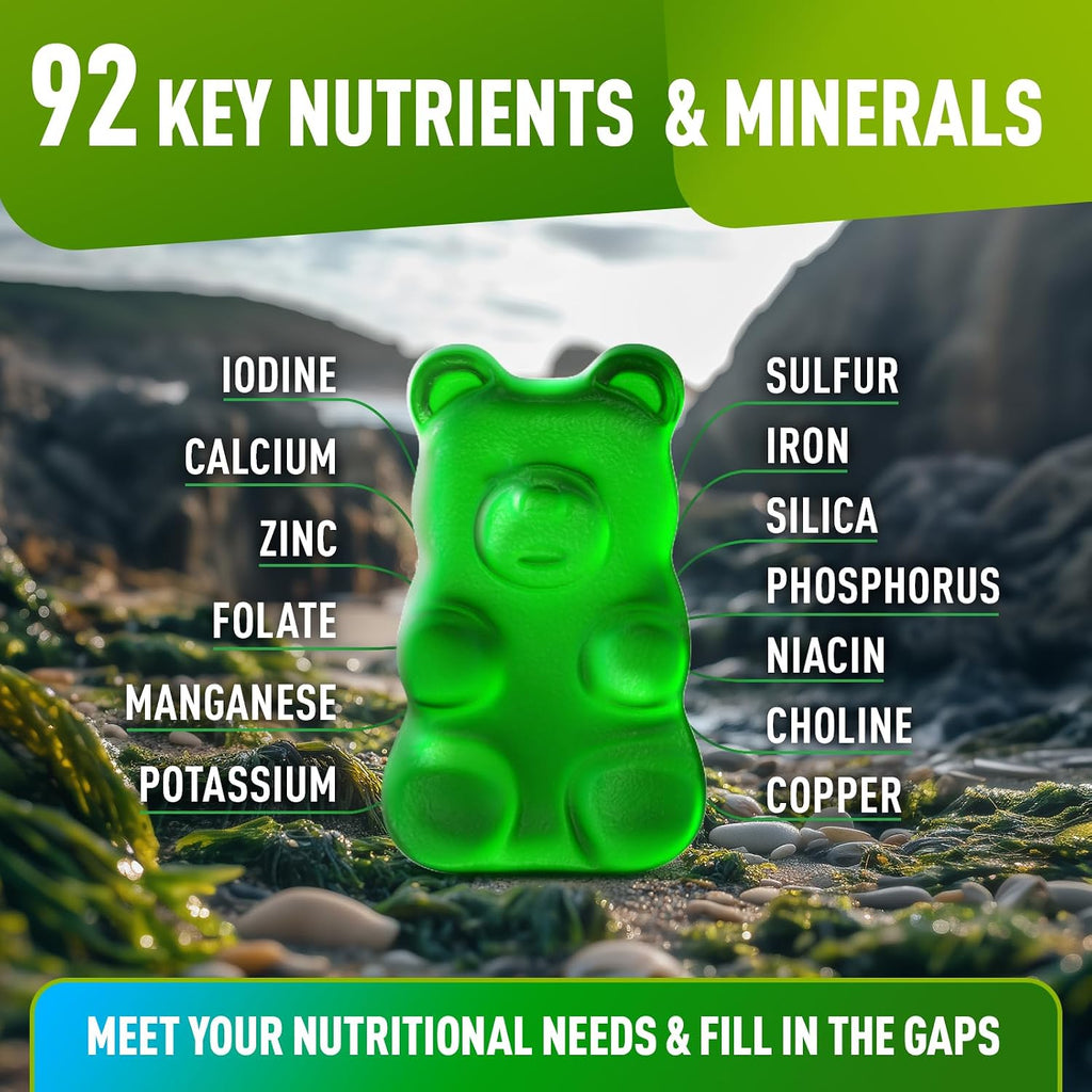 BioVit Sea Moss Gummies - Gominolas de Sea Moss Silvestre con Bladderwrack y Burdock - 60 Gominolas Veganas