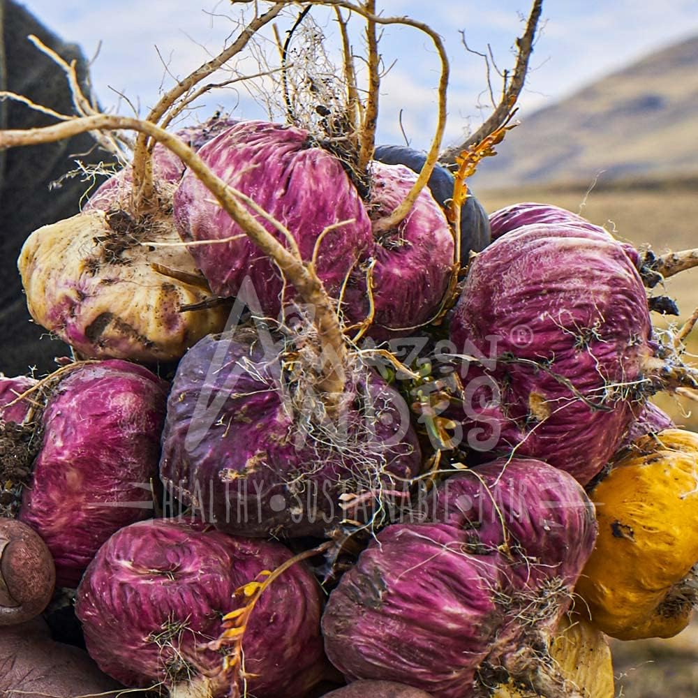 Cápsulas de Maca Negra, Roja y Amarilla Premium – 3000mg por Ración