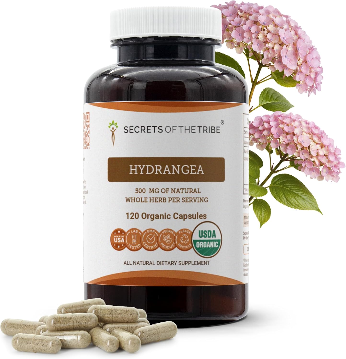 Secrets of the Tribe - Hydrangea arborescens Cápsulas Orgánicas USDA | Suplemento Herbal Certificado | Raíz Seca (120 Cápsulas)