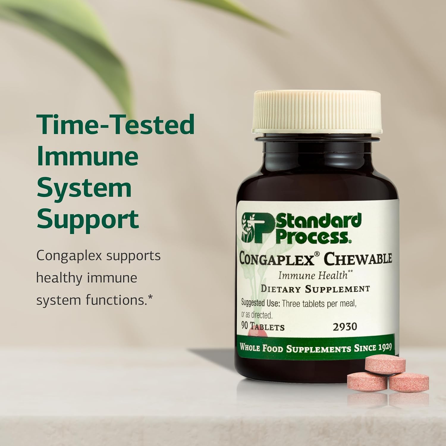 Standard Process Congaplex Chewable - Suplemento para el sistema inmunitario con vitamina A - Apoya la glándula del timo y la síntesis de proteínas - Sin lácteos ni soja - 90 comprimidos (30 porciones)