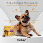 Omega 3 para Perros – Suplemento para Piel y Pelaje con Salmón – 90 Masticables
