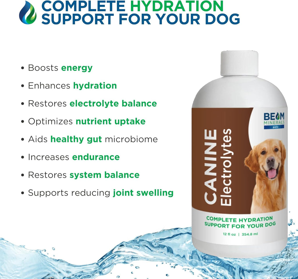 Complete Canine Electrolytes | Electrolitos completos para perros | 355 ml