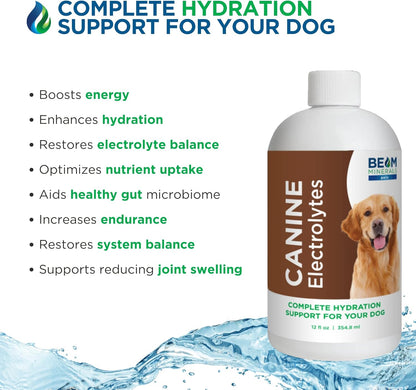 Complete Canine Electrolytes | Electrolitos completos para perros | 355 ml – Image 5