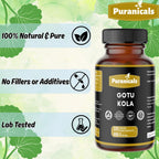 Gotu Kola Premium 320 Cápsulas No OGM y Sin Gluten | Suplemento Herbario | 600 mg Por Ración | Hecho con Polvo de Gotu Kola 100% Puro