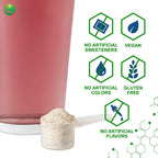 Nutra Biogenesis Focus Fizz - Powder Supplement with GABA and L-Theanine for Focus and Relaxation, 150 g