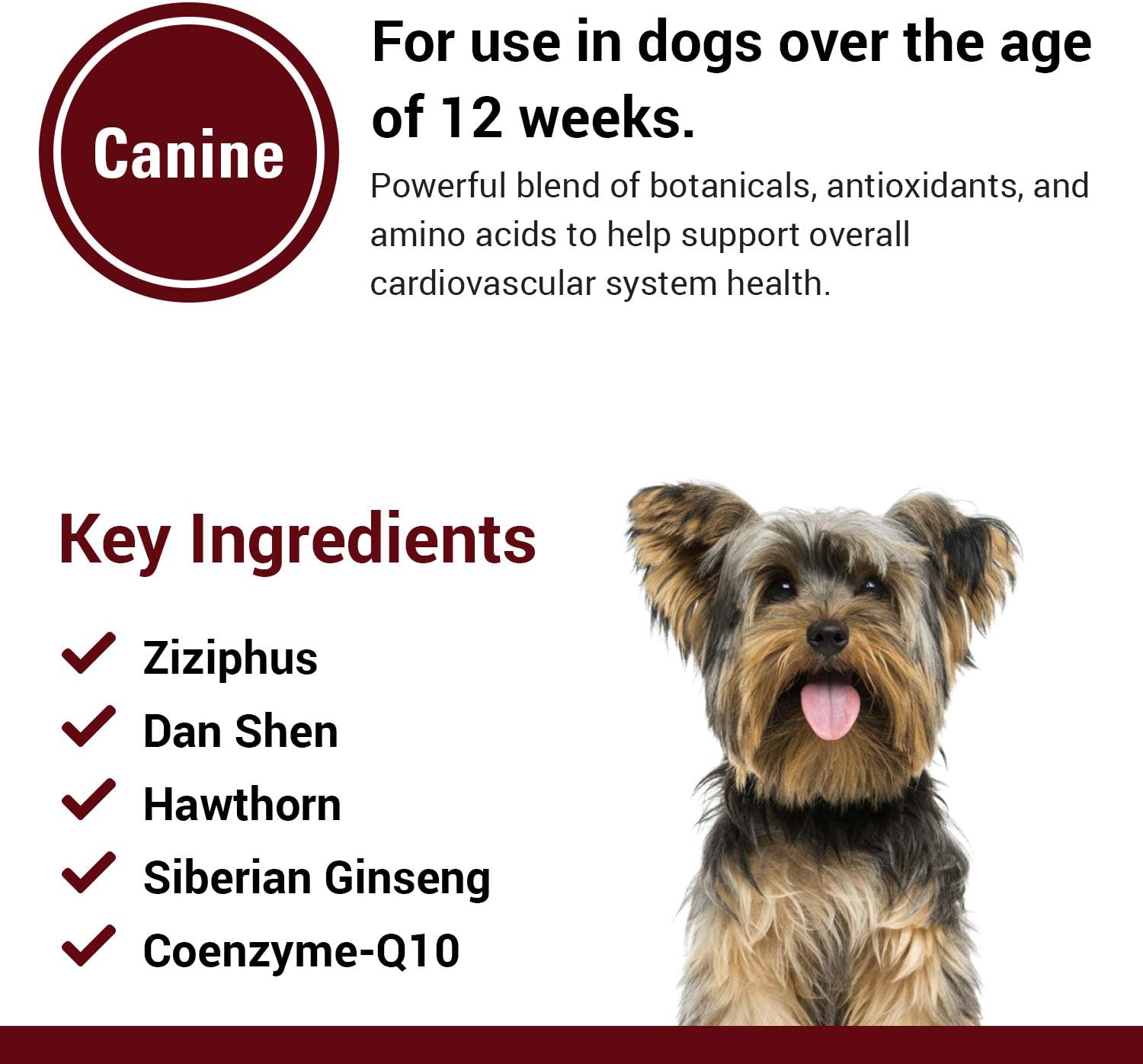 Vet Classics Suplemento cardiovascular con coenzima Q10 para perros