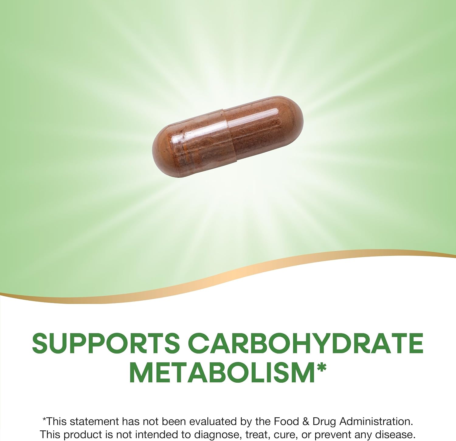 Nature's Way Extracto de Canela Premium, Estandarizado al 8% de Flavonoides, 240 Cápsulas Veganas