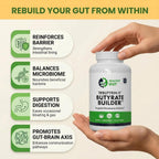 Healthy Gut Tributyrin-X – Suplemento de Butirato Altamente Biodisponible | 90 Cápsulas Blandas