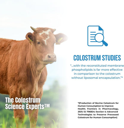 Colostrum-LD Liposomal Delivery - Polvo de Calostro - Sin Gluten, Reducido en Lactosa - 34 Dosis - Sovereign Laboratories - – Image 6
