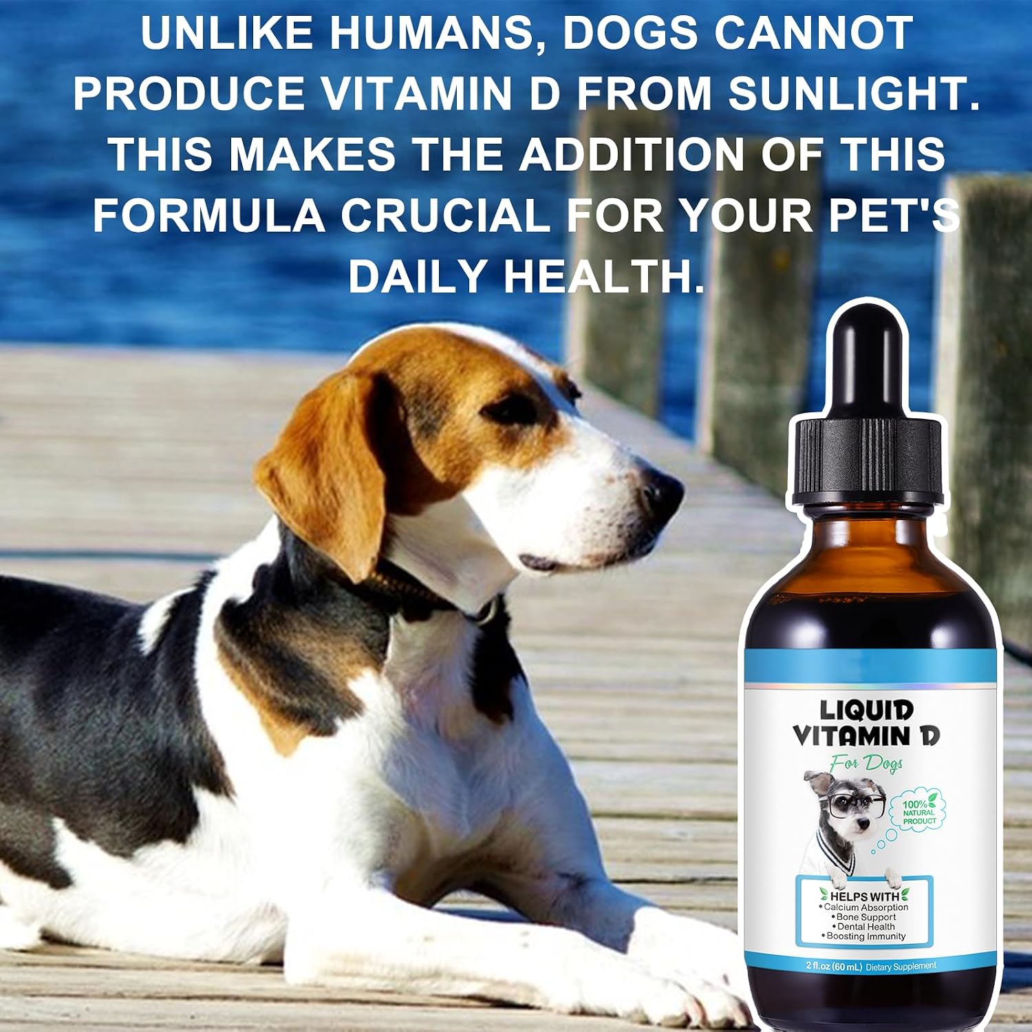 Vitamina D para Perros, Gotas Líquidas de Vitamina D para Perros, Vitaminas D para Perros Promueven la Absorción de Calcio, Apoya el Sistema Inmunitario, Salud de Caderas y Articulaciones y Salud Dental, Suplemento Multivitamínico para Perros