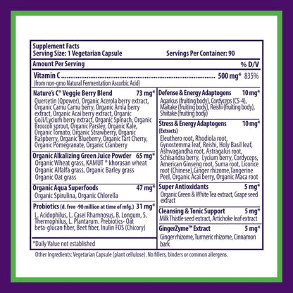 Paradise Herbs Earth's Blend Vitamina C con – Contribuye al funcionamiento normal del sistema nervioso. – Image 7