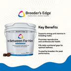 Breeder's Edge In Between for Him - Multivitamínico para perros y gatos machos (360 comprimidos)