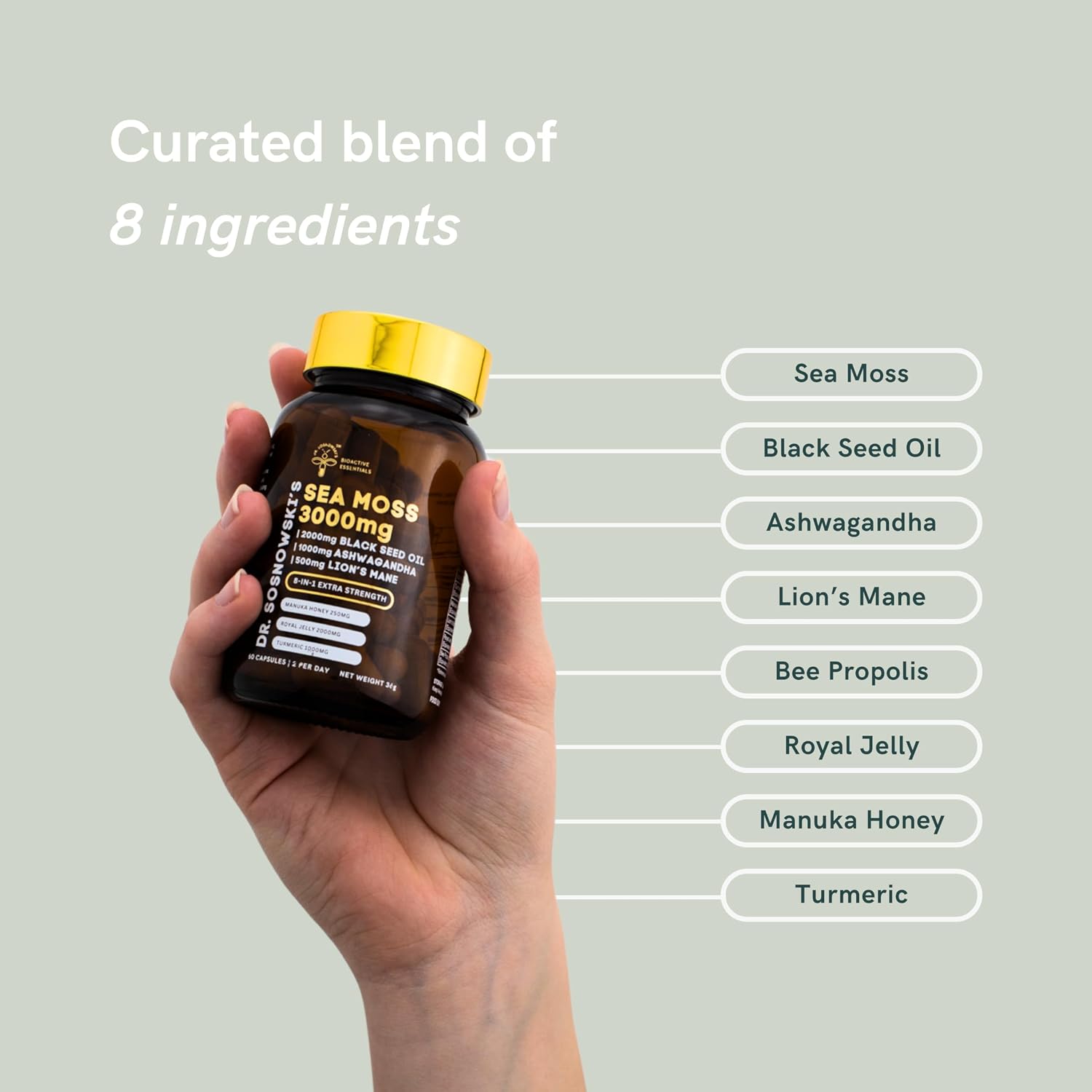 Dr Sosnowski's BioActive Sea Moss | Fórmula 8-en-1 con Musgo Marino, Semilla Negra, Ashwagandha, Cúrcuma, Miel de Manuka, Melena de León, Jalea Real y Propóleo de Abeja | 60 Cápsulas