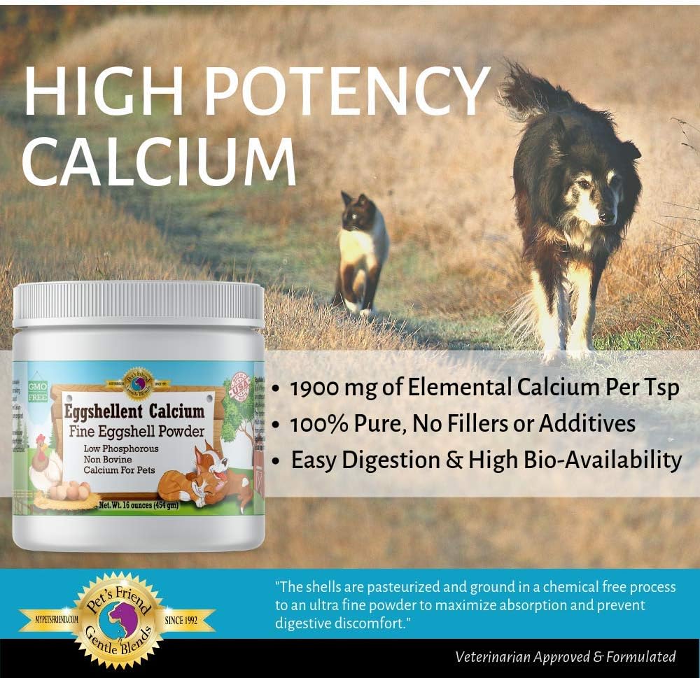 Eggshellent Calcium - Polvo de cáscara de huevo para perros y gatos - 454 g