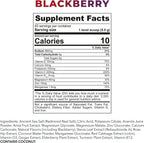 Redmond Re-Lyte Immunity Multivitamínico con Electrolitos (BlackBerry)