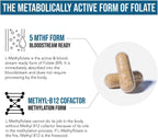 L Metilfolato 15mg con Metil B12 – Alta Potencia – 60 Cápsulas – Triquetra Health