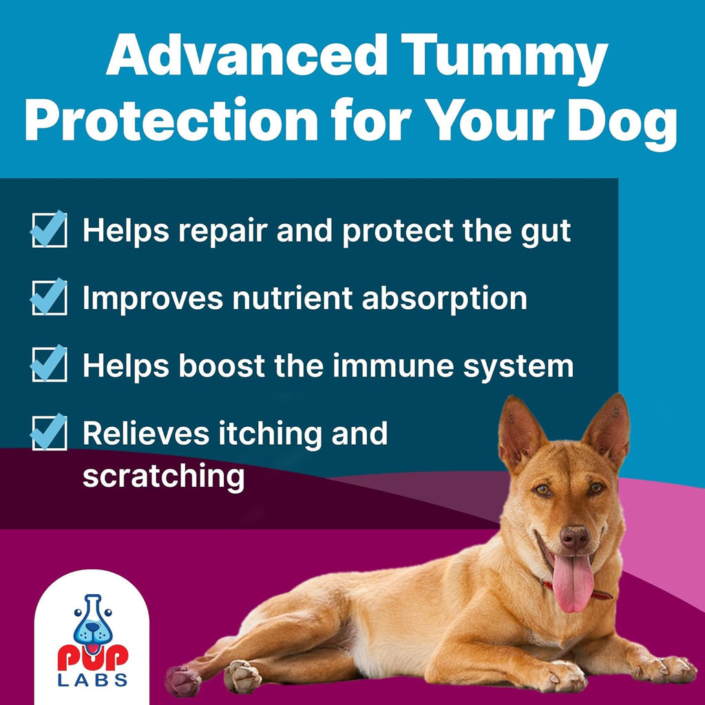 K9 Belly Bliss - Prebiótico Natural para la Salud Digestiva de Perros, 30 Dosis