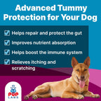 K9 Belly Bliss - Prebiótico Natural para la Salud Digestiva de Perros, 30 Dosis