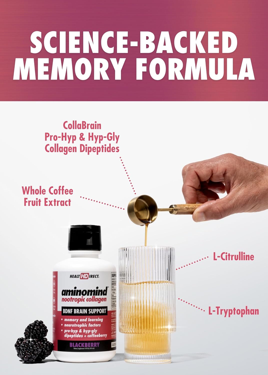 AminoMind – Suplemento de Colágeno Nootrópico para la Salud Cerebral – 14 Fl Oz (28 porciones)
