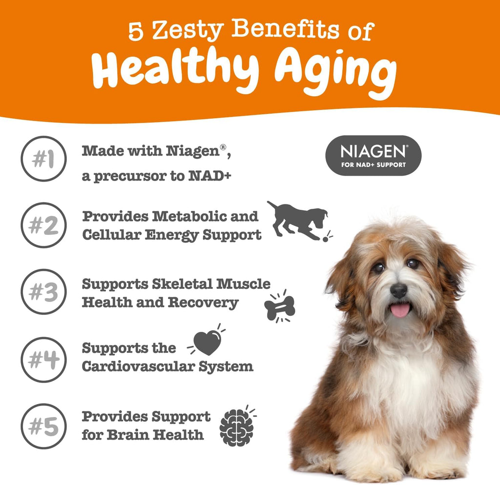 Zesty Paws Suplemento NAD+ Precursor para Perros – Niagen – 30 Sobres