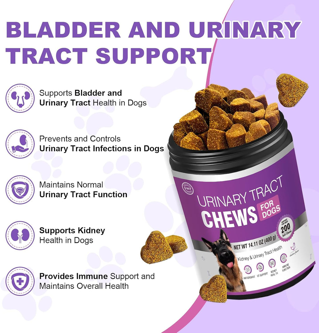 Suplemento de Arándano para Perros - 200 Chicles para la Salud Urinaria y Control de Vejiga - Sabor Pollo