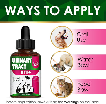 Complemento Urinario con Arándano para – Propiedades antioxidantes que favorecen el bienestar general. – Image 6
