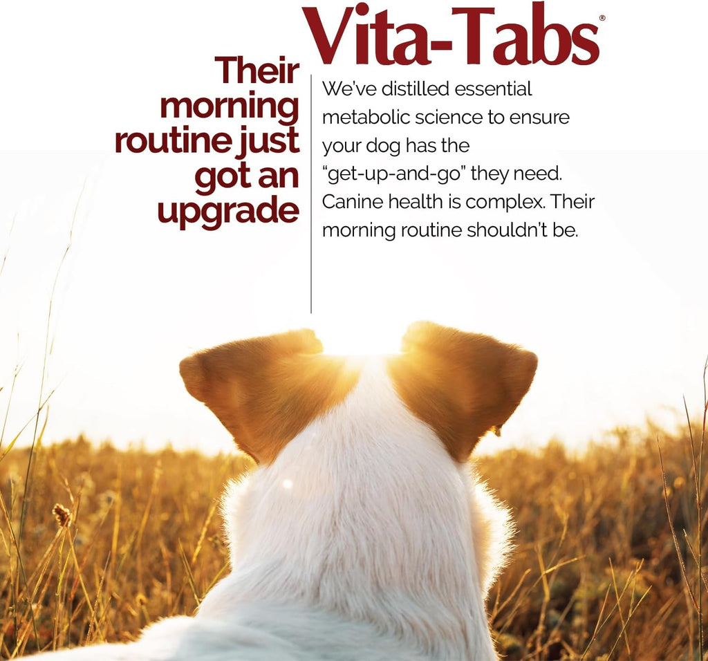 Vita-Tabs Suplemento Multivitamínico y Mineral para Perros - Recomendado por Veterinarios - 60 Comprimidos Masticables para Piel, Pelaje, Energía y Bienestar